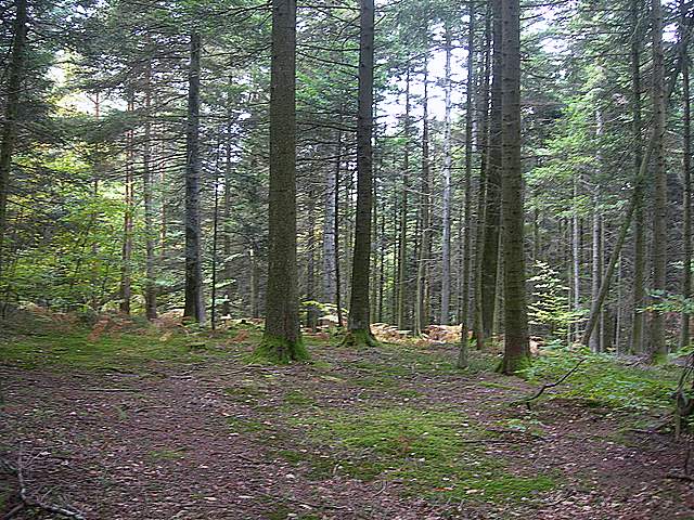 Escursione  madre  2008